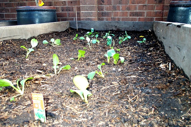 [ANZAC Day 001[5].jpg]