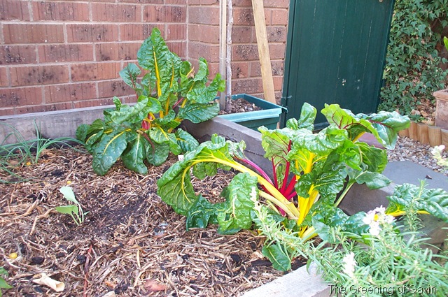 [ANZAC Day 007[5].jpg]