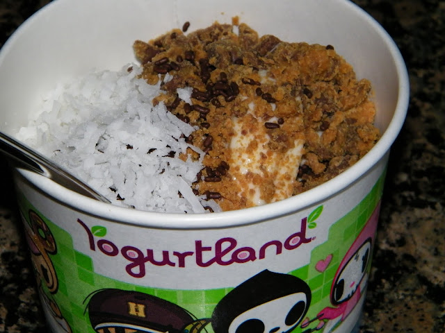 Frozen Yogurt from Yogurtland