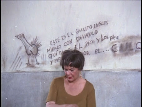 Photo by <a href=http://www.drbizarre.net/post/el-gallito-ingles>Dr. Bizarre</a>, licence <a href=http://creativecommons.org/licenses/by/2.5/mx/>CC 2.5 Mexico</a>