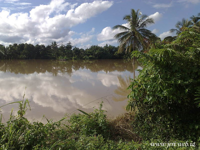 Sawah Perbatasan M.Gula dan Tj.Raman Sawah Perbatasan M.Gula dan Tj.Raman