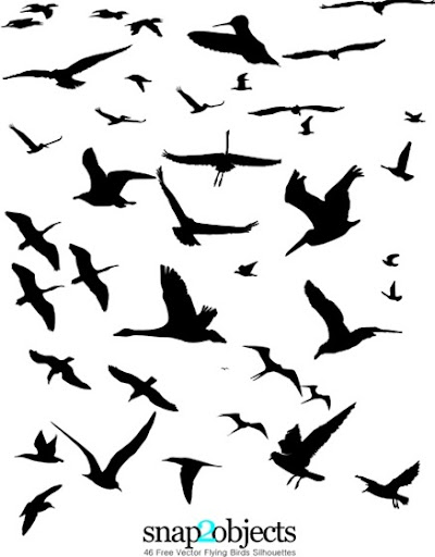 aves vectorizadas