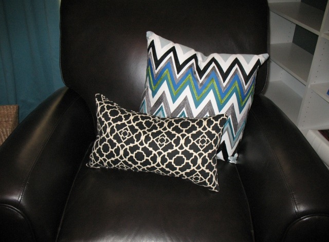 [reader pillow[5].jpg]