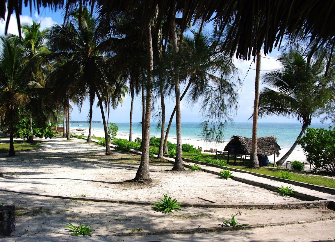 Веселый Занзибар