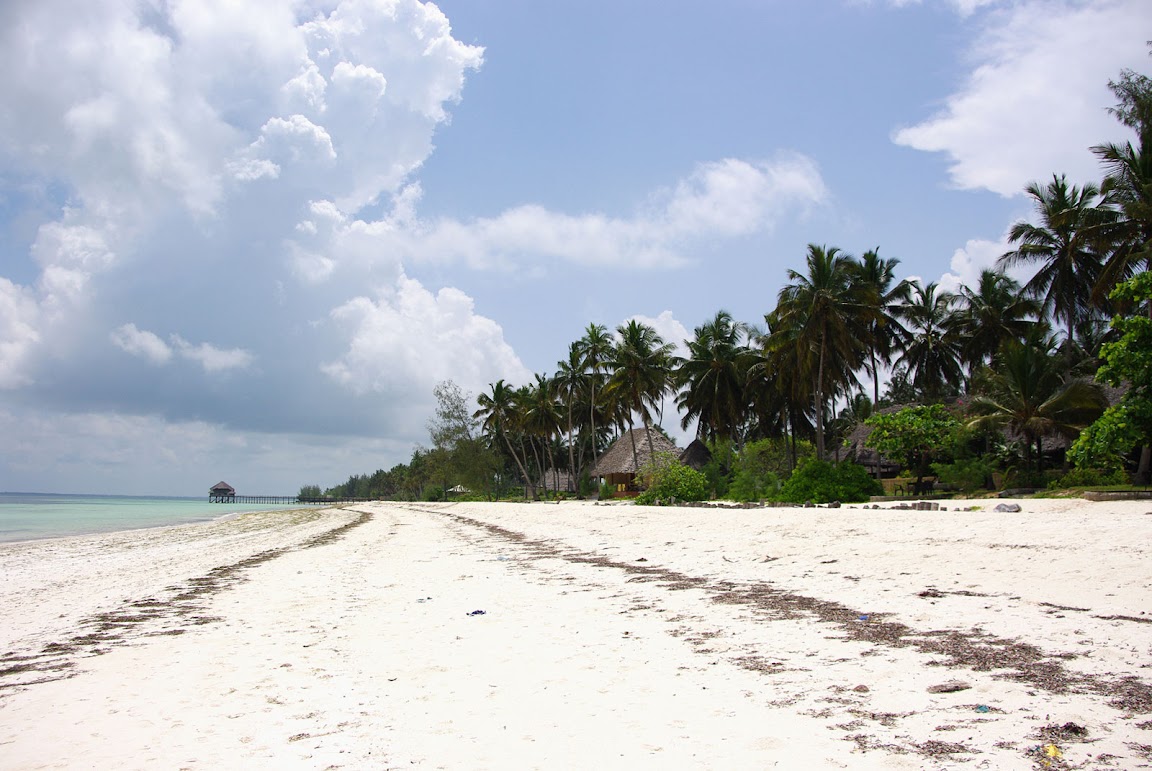 Веселый Занзибар