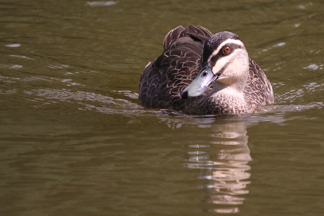 [20100208_28_1[3].jpg]