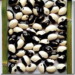 Yin Yang Beans