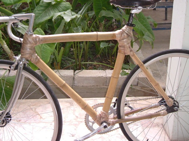 [Bambu Bike[3].jpg]