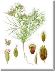 clip_image031