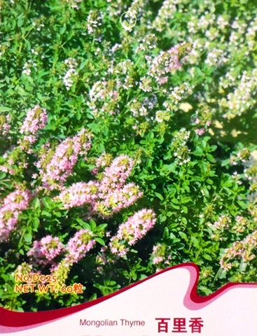 [Mongolian Thyme[3].jpg]