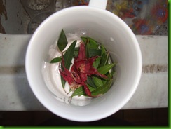 Hibiscus - Blepharocalyx Tea (2)