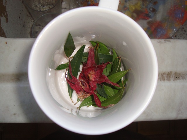 [Hibiscus - Blepharocalyx Tea (2)[2].jpg]