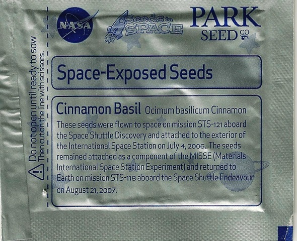 [Space Seeds (2)[6].jpg]