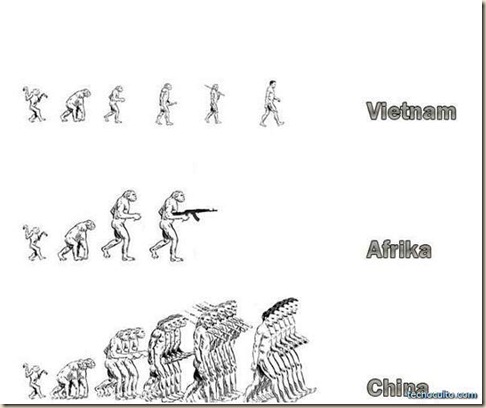 evolucion_3