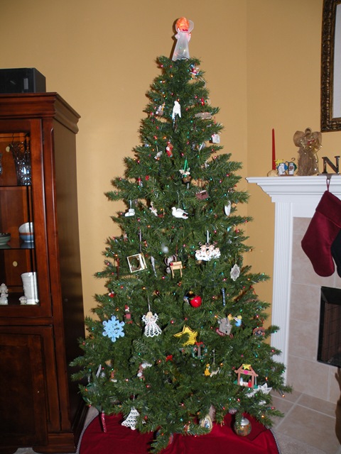 [November2008 073[3].jpg]