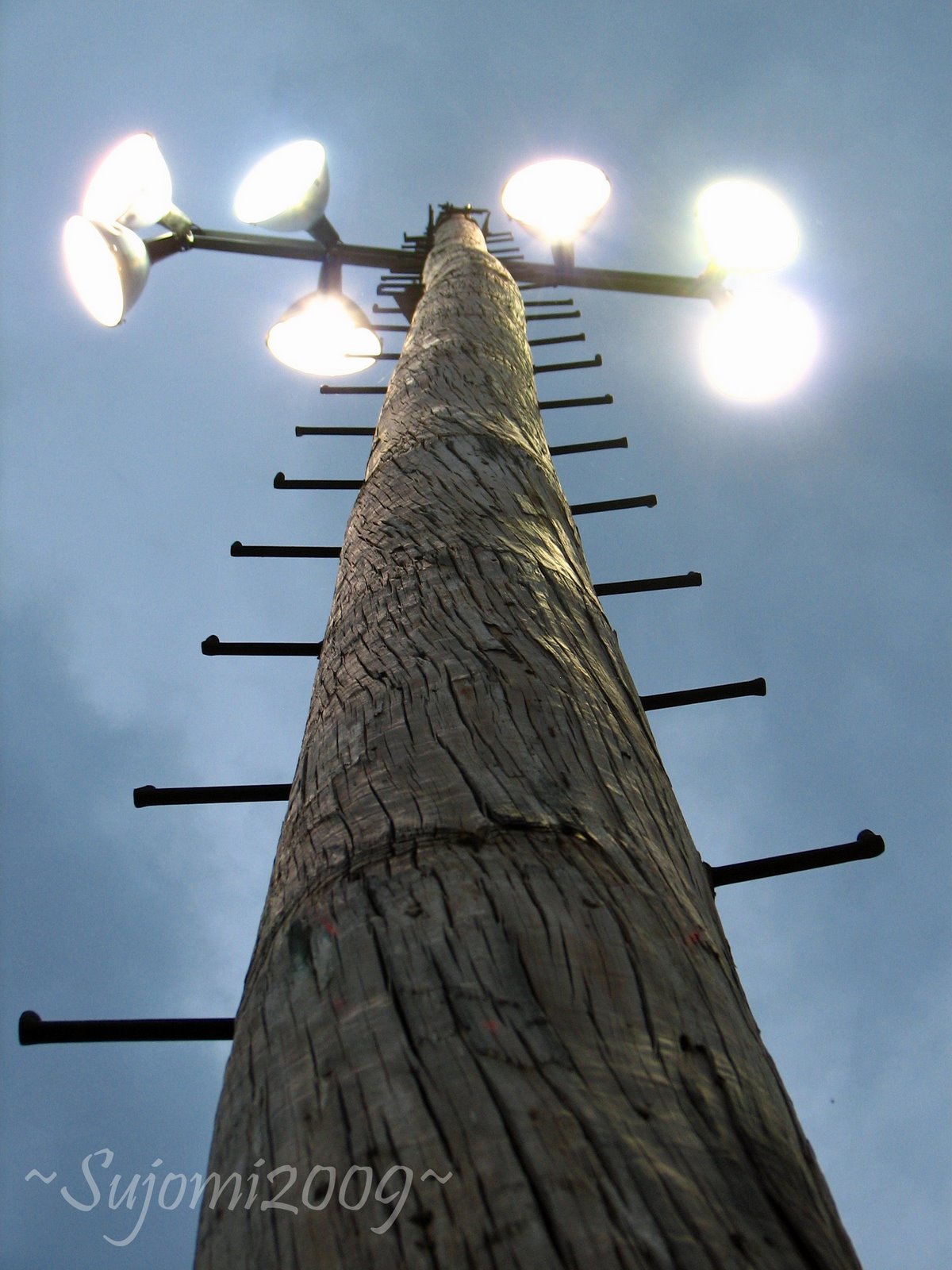 [2009 06 10 IMG_6224[5].jpg]