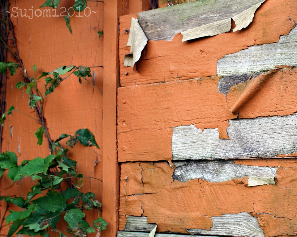 [2010 09 22 IMG_3555w[4].jpg]