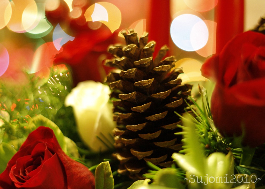 [2010 12 22_MG_6598w[5].jpg]