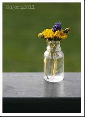 Hyacinth House Lyrics 365