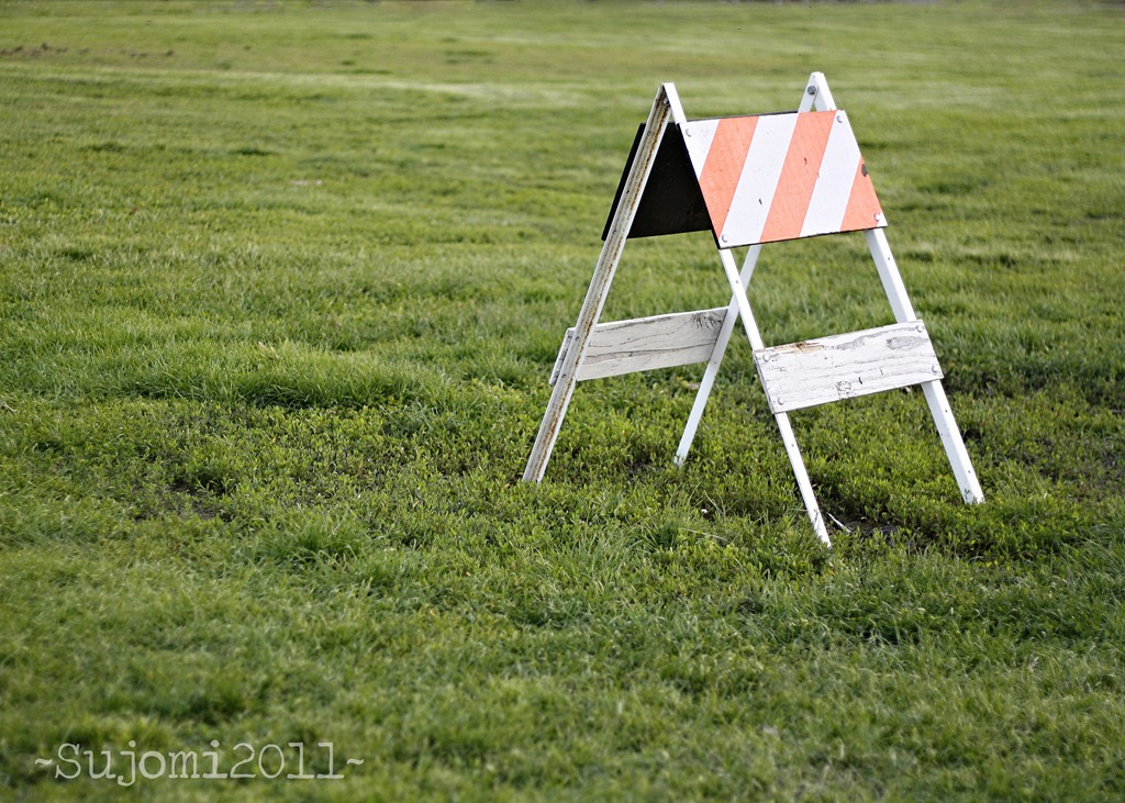 [2011 05 07 _MG_1505w[5].jpg]