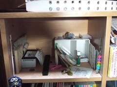 DSCF2263 (Medium)