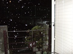 DSCF2255 (Medium)