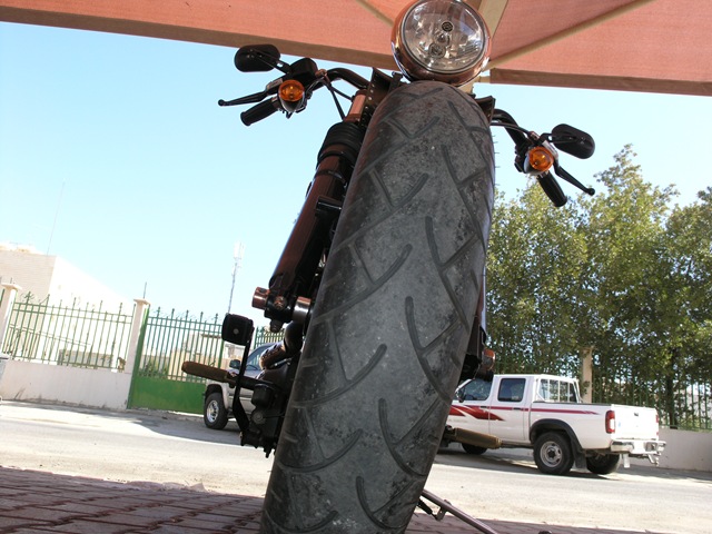 [P1012738[4].jpg]