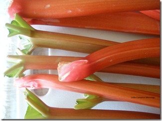 Rhubarb