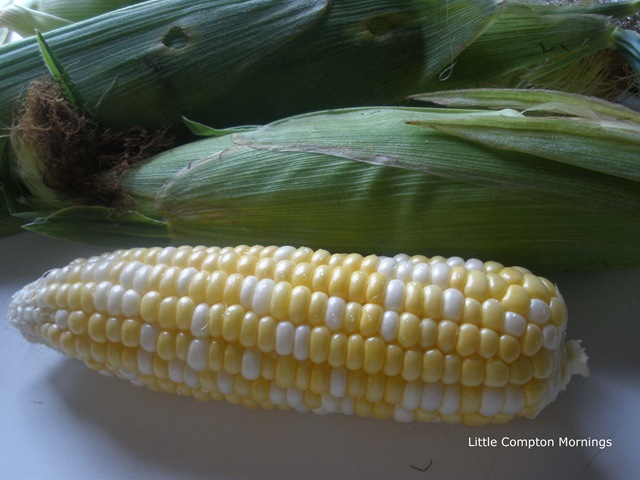 [Corn fritters corn[5].jpg]