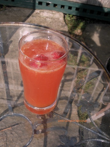 [Camparicocktail3.jpg]