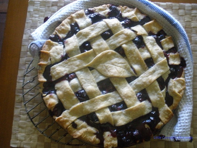 [Blueberrypie23.jpg]