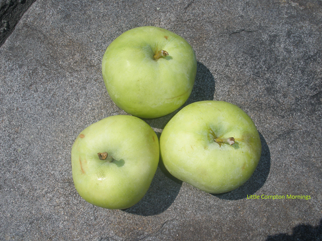 [Country apple cake apples[3].png]