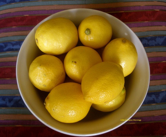 [Lemon pie lemons[4].jpg]