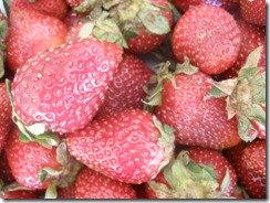 Strawberries, Flowers, Orange Puff 015 Strawberries, Flowers, Orange Puff 015