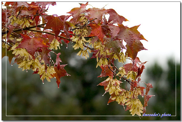 http://lh5.ggpht.com/_oHZKS5XSNYs/SWa_2Q69SXI/AAAAAAAAGqg/C_odFPXd5E8/s800/CRW_6827.jpg