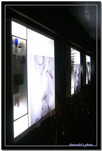 http://lh5.ggpht.com/_oHZKS5XSNYs/SfUo3gSl9NI/AAAAAAAAH0M/hgpR54ZOmHE/s512/R0018503.jpg