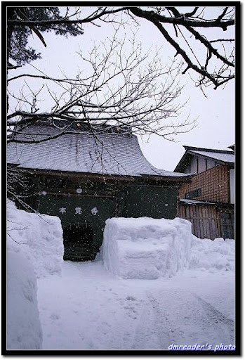 http://lh5.ggpht.com/_oHZKS5XSNYs/TIXJkbBqkoI/AAAAAAAAJbU/PuBI_Cs0Yr4/s512/R0028548.jpg
