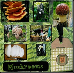 2010 ABC Scrapbook M