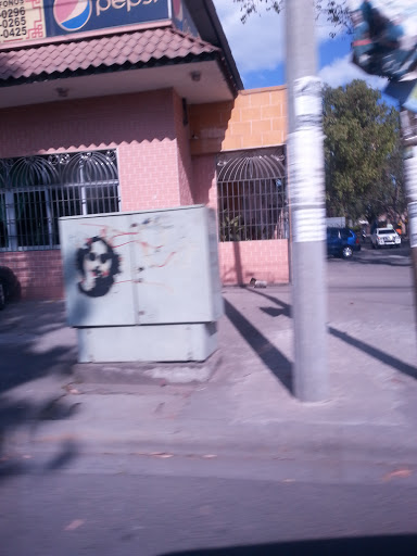 Graffiti Frida Calo