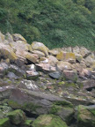 DSCF2892.jpg