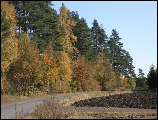 oktober 09002 oktober 09002