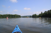 IMG_6248.JPG Photo