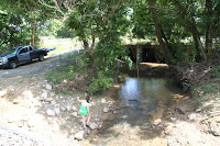 IMG_6410.JPG