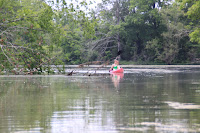 IMG_6366.JPG