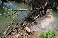 IMG_6423.JPG