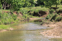 IMG_6427.JPG