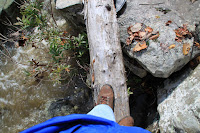 IMG_3634.JPG