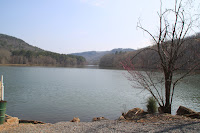 IMG_3748.JPG Photo