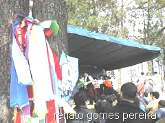 PIC00019