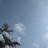 IMG_3328.JPG